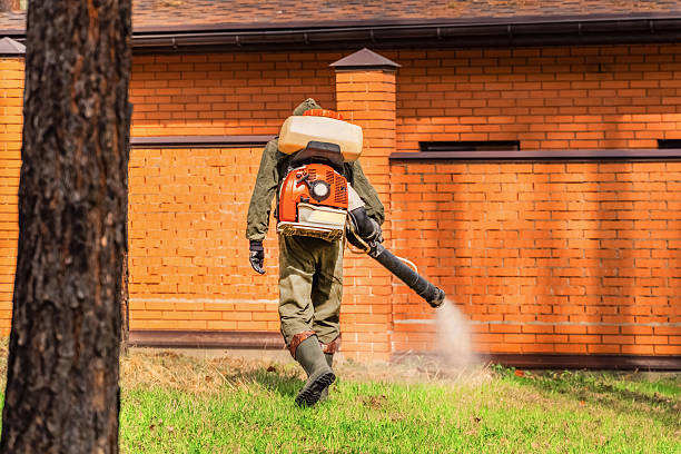 Bed Bug Clearance Verification and Documentation in Raytown